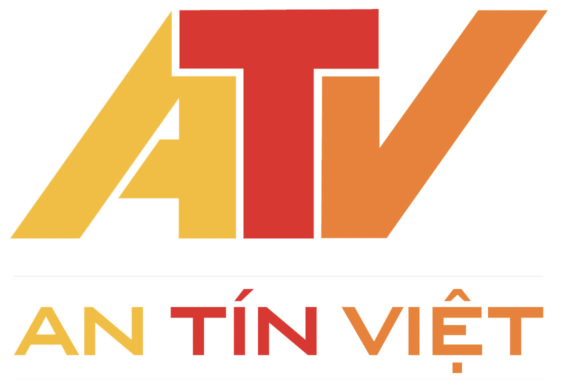 Logo AN TIN VIET